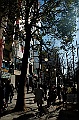 ikebukuro last day 12